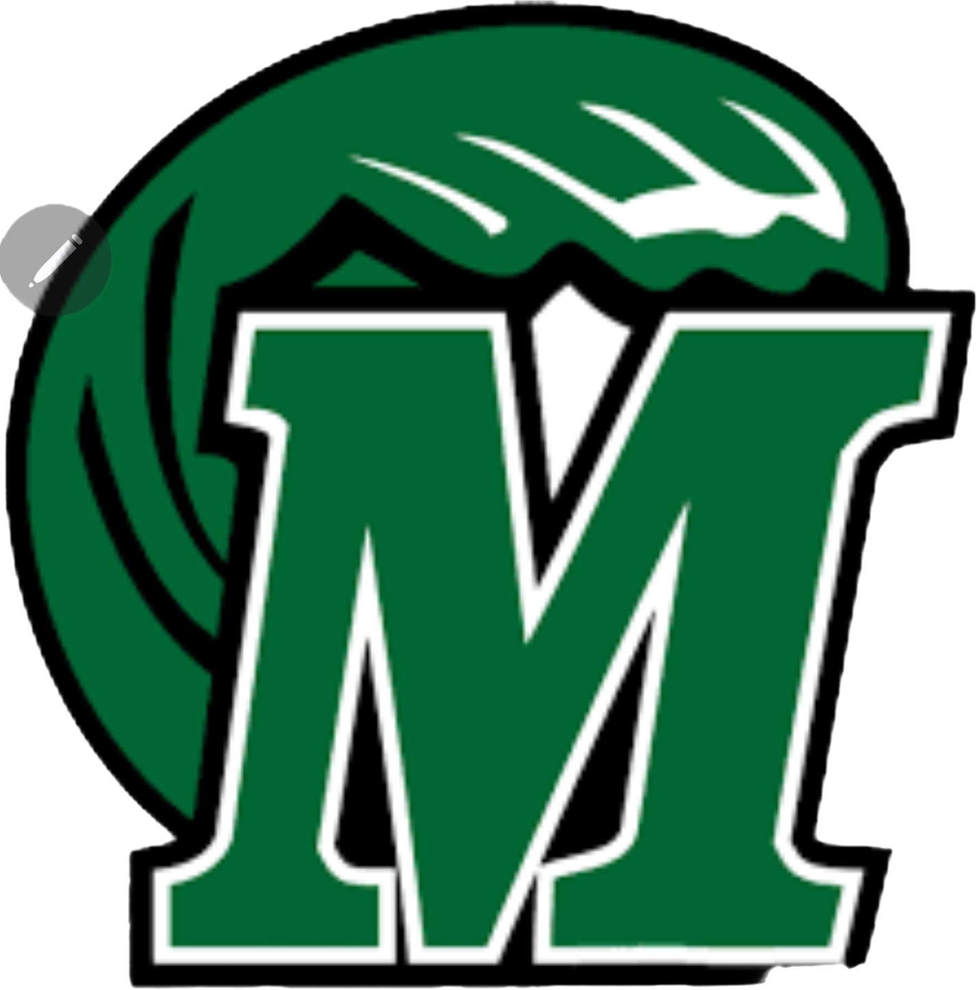 Wrestling team photo