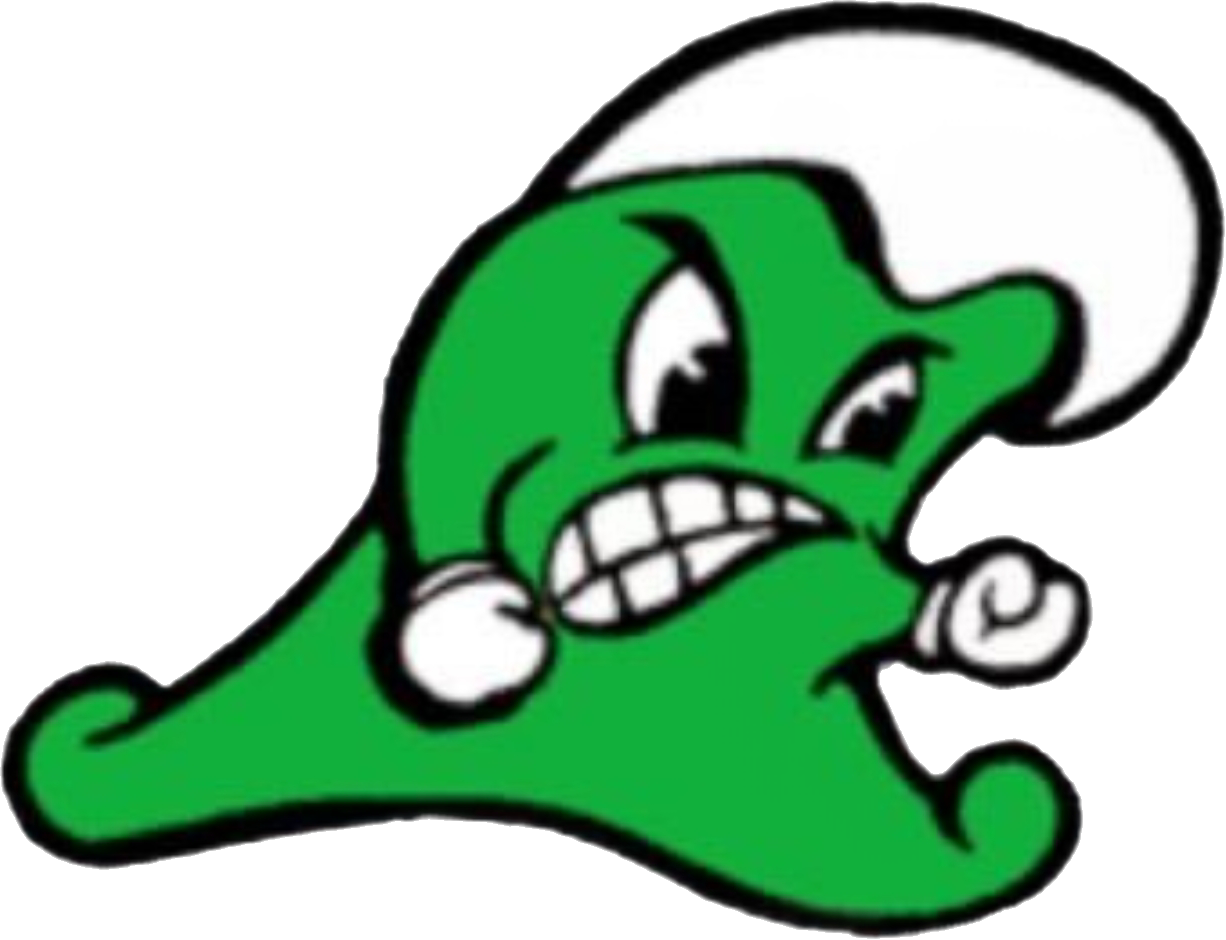 Wrestling team photo